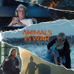 Save animals